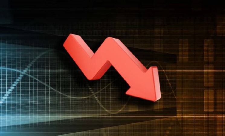 Микаэль ван де Поппе заявил о просадке своего портфеля альткоинов на 60%