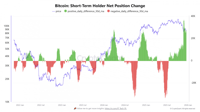 Новые биткоин-киты захватили 50% рынка — CryptoQuant