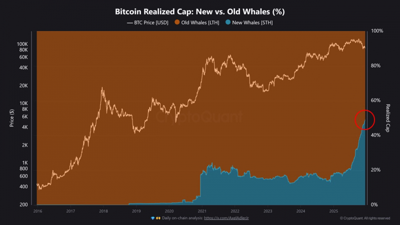 Новые биткоин-киты захватили 50% рынка — CryptoQuant