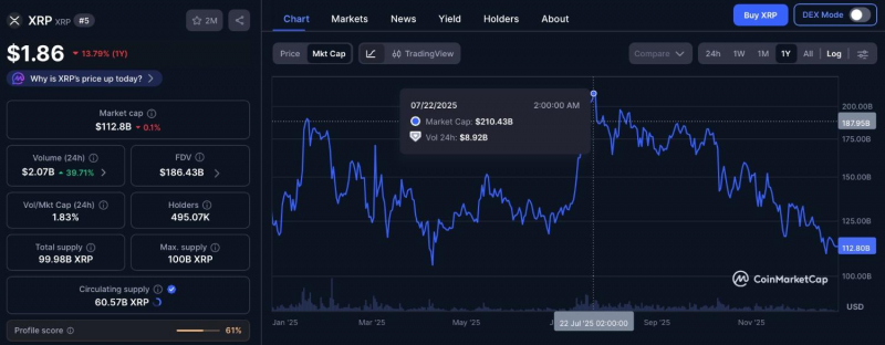 Рыночная капитализация XRP снизилась на 98 миллиардов долларов