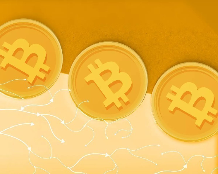 
			CIO Bitwise: биткоин еще не достиг дна цикла		