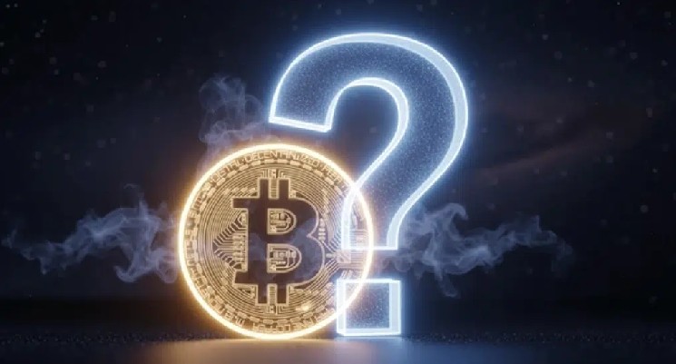 Газета WSJ заявляет: «Этот альткоин может стать следующим биткоином (BTC)!»