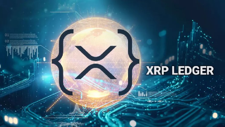 Розничные кошельки составляют более 93% от общего числа XRP-адресов